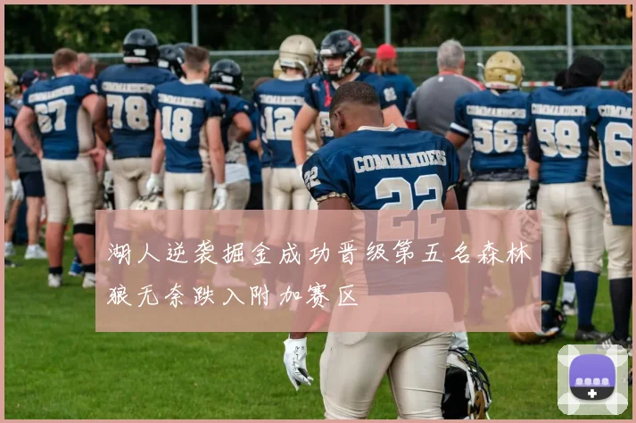 湖人逆袭掘金成功晋级第五名森林狼无奈跌入附加赛区